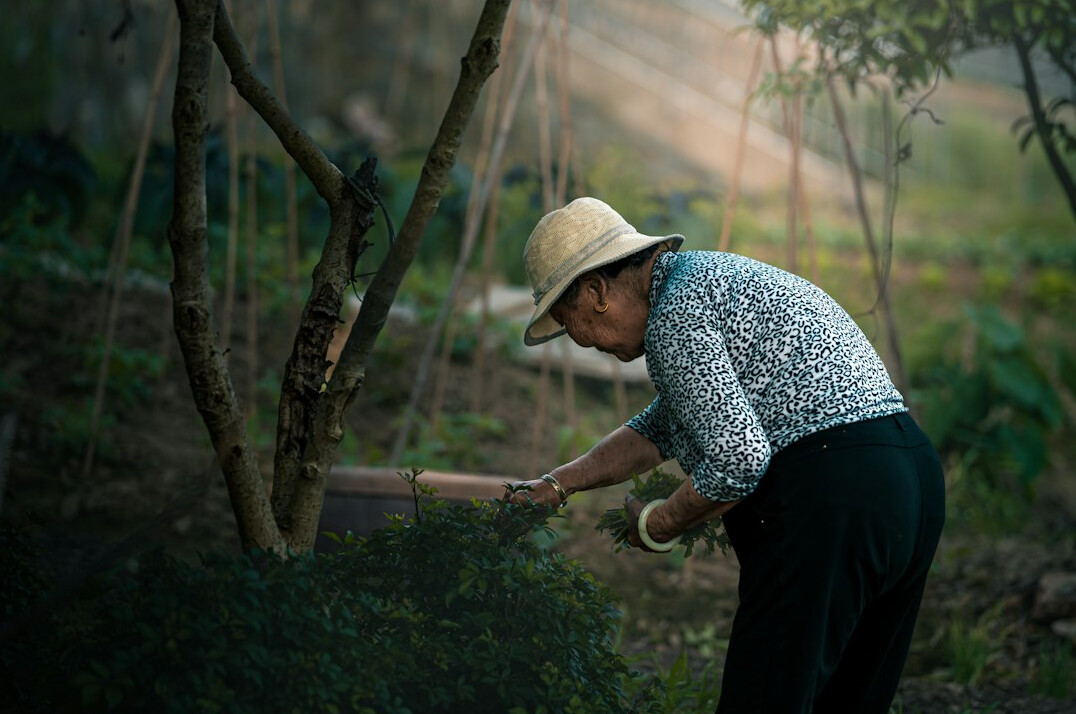 elderly person gardening