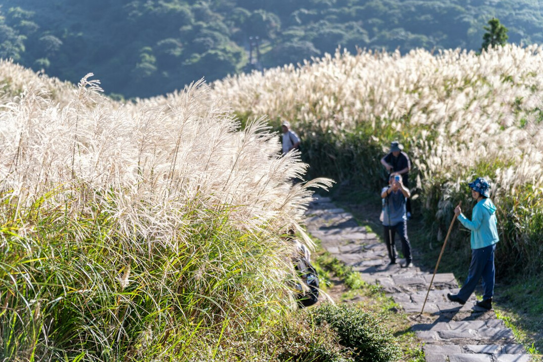 Group of elderly Japanese hikers walking along a countryside trail